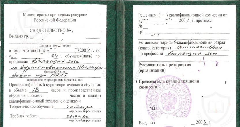 Свидетельство вальщика леса выданное в 2004 году в Правдинском лесхозе-техникуме