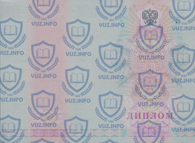 Диплом техникума, колледжа 2010 2009 2008 годов окончания - обратная сторона